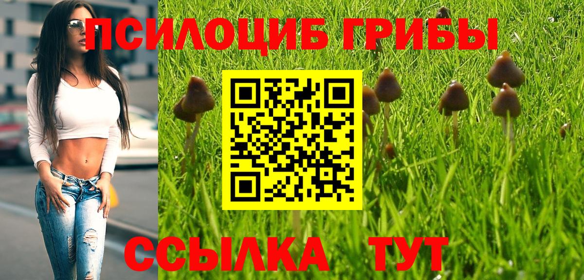 Галлюциногенные грибы GOLDEN TEACHER Новоалтайск